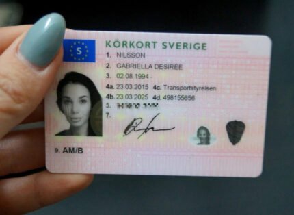 Original Swedish Drivers license